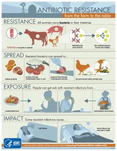 Antibiotic resistant infographic