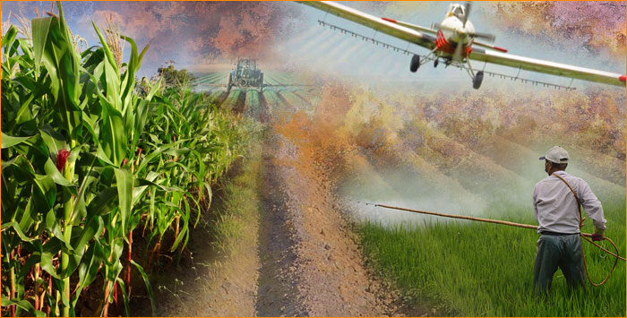 Chemical Fertilizers, Pesticides and GMOs