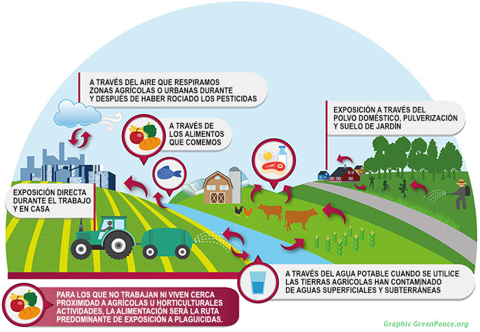 Cómo estamos expuestos a los pesticidas