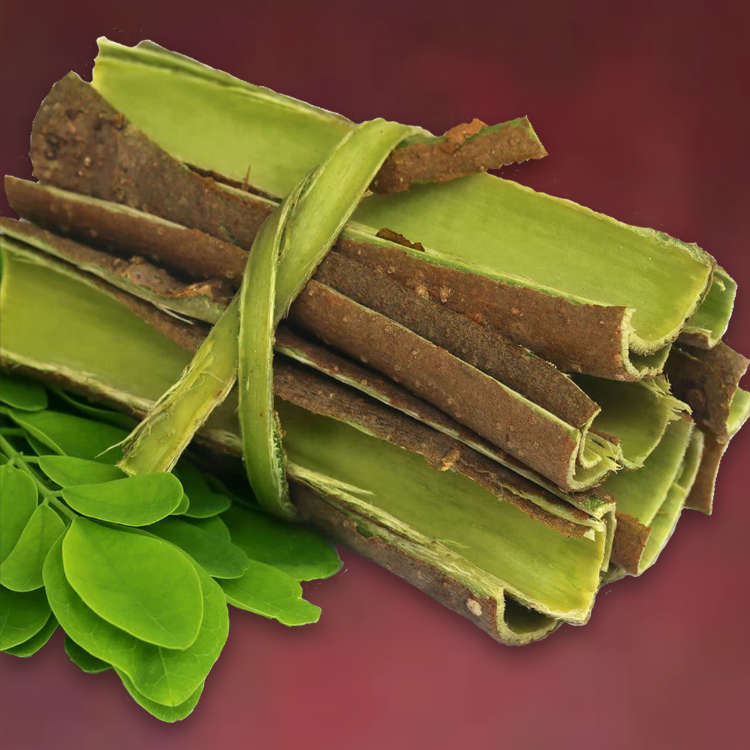 moringa bark